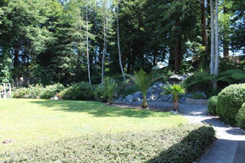 Deck to waterfall
